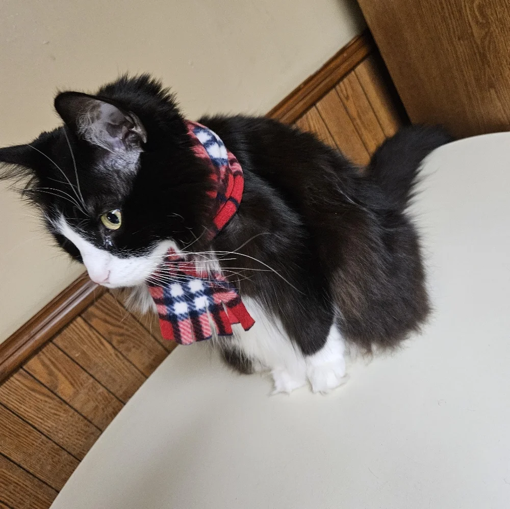 It's cold outside 🥶😼